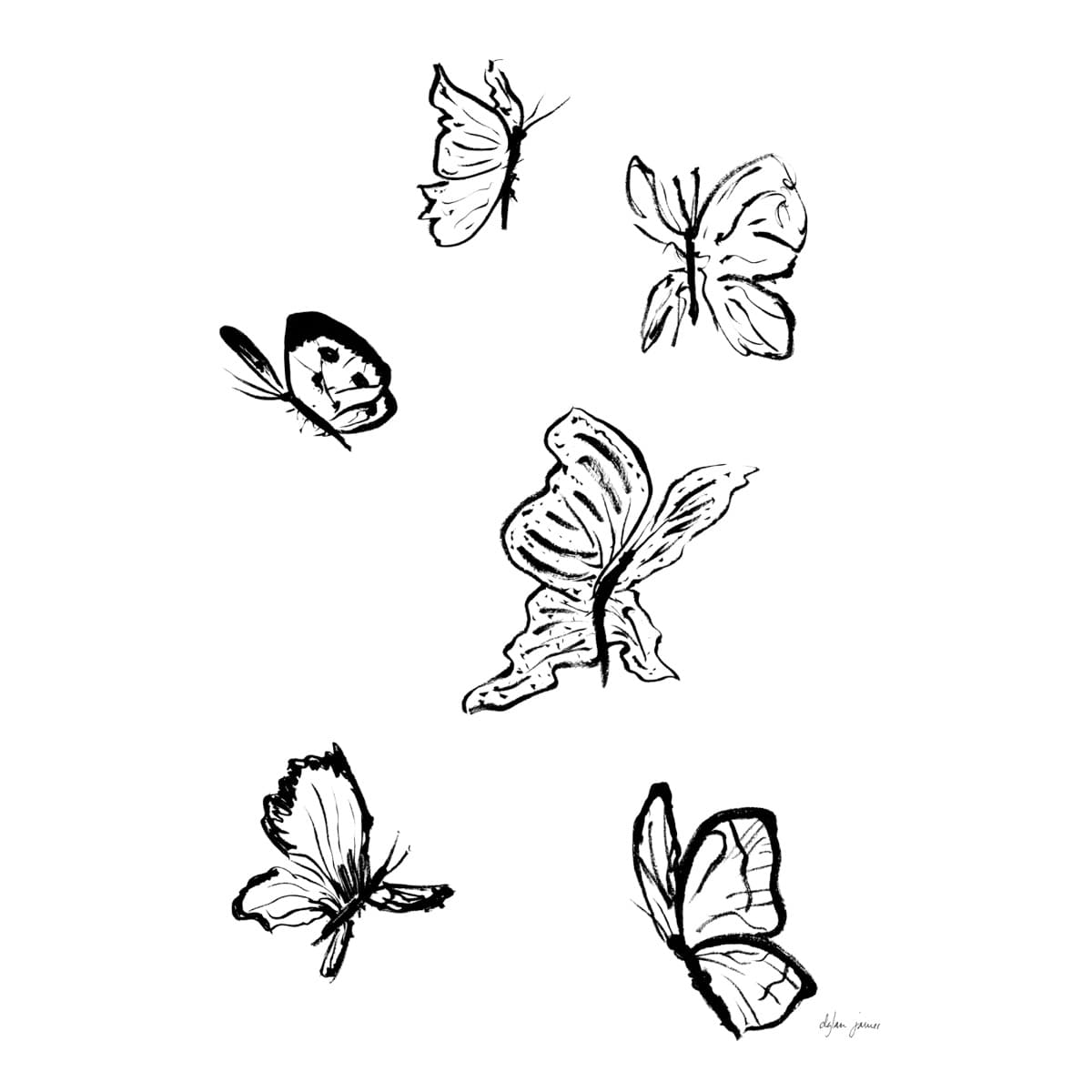 Illustration dylan-yarter-ink-illustration-butterflies