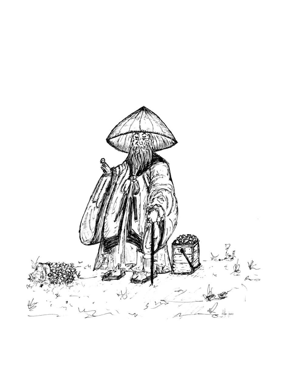 Illustration dylan-yarter-ink-illustration-mushroom-04